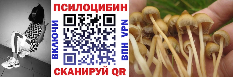 дарк нет формула  Сосновка  Псилоцибиновые грибы GOLDEN TEACHER 